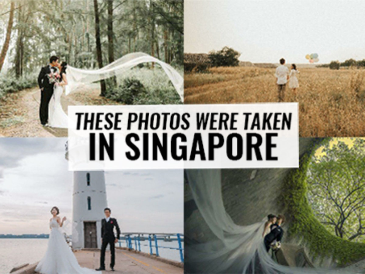 17 Wedding Shoot Nature Locations In Singapore That Don T Look