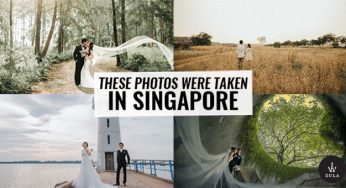 16 Wedding Shoot Nature Locations in Singapore That Don’t Look Like SG