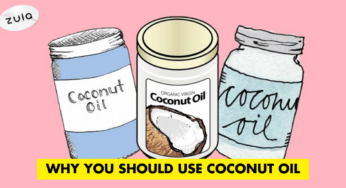 Why You Should Use Coconut Oil Products In Your 20s And Where To Buy In Singapore