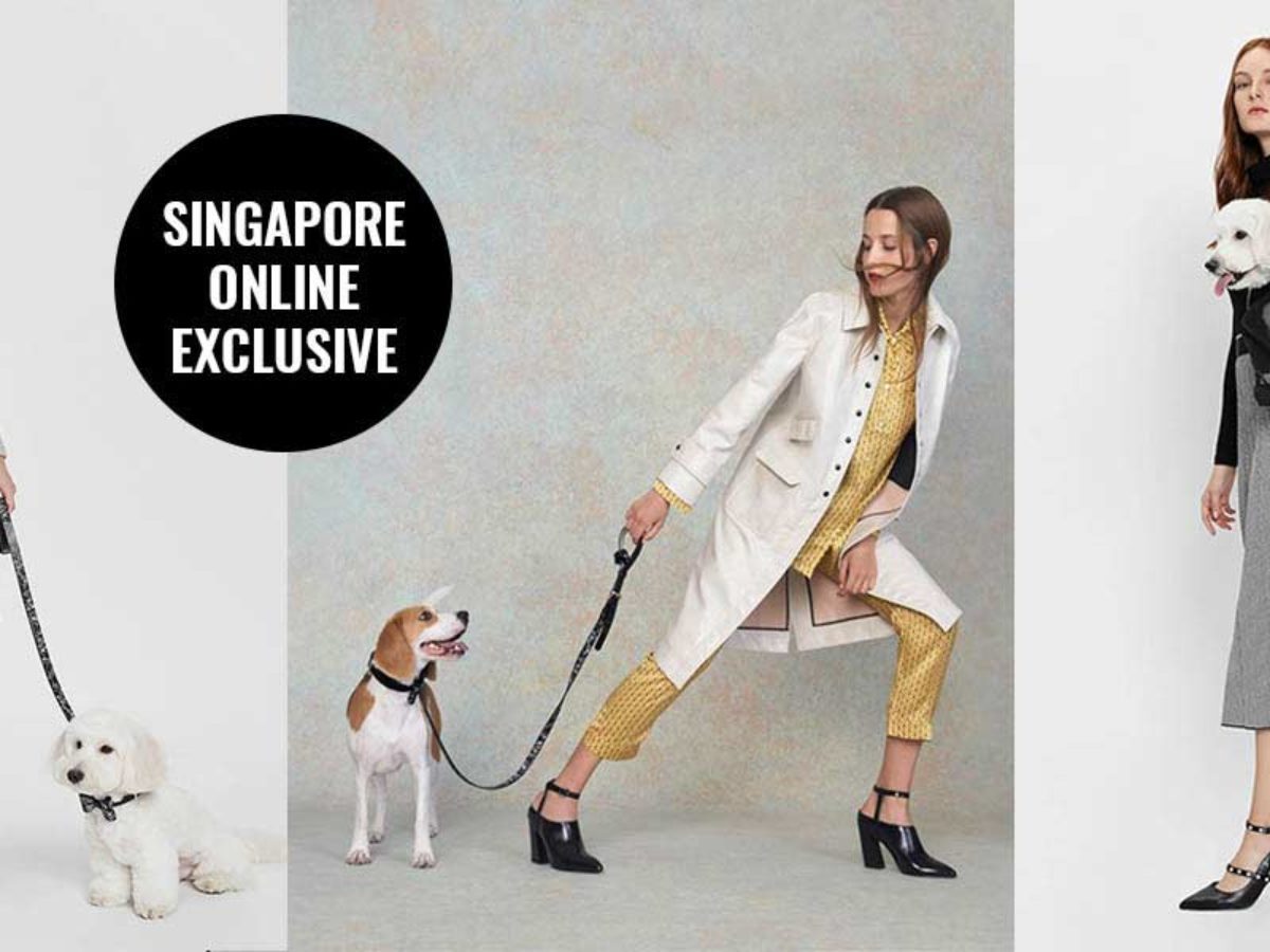 where can i walk my dog in singapore