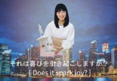 japanese minimalism singapore