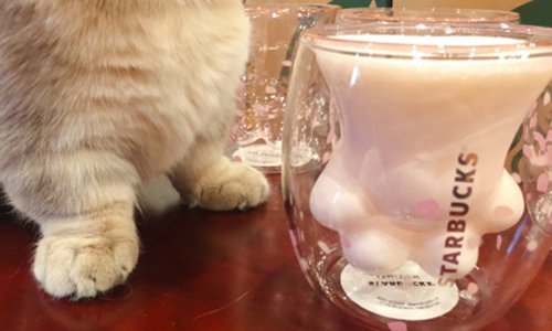 Starbucks Released Cat Paw Cup In China And People Got Their Claws Out -  Zula.Sg
