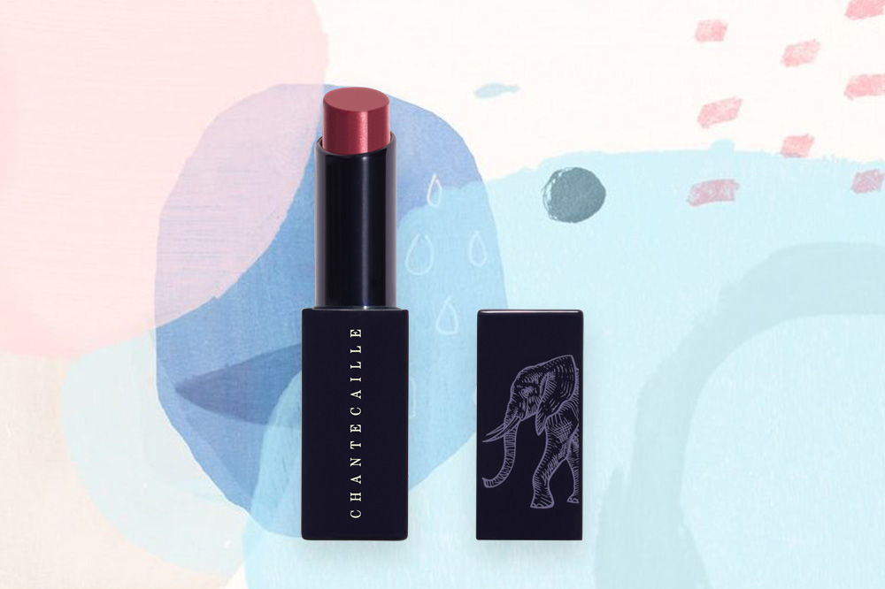 best lipsticks 2019 chantecaille