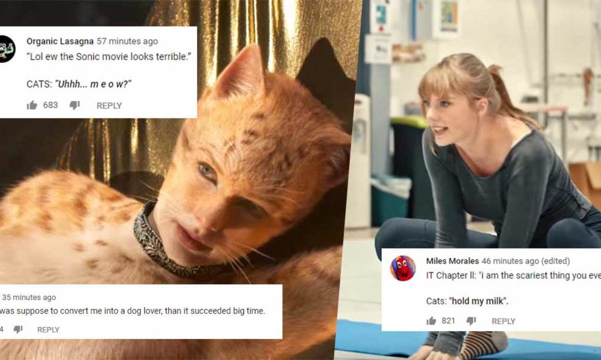 Taylor Swift Cats