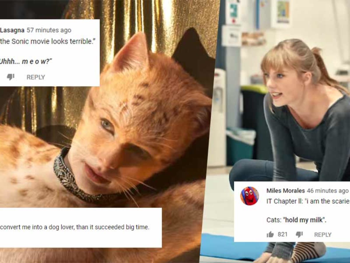 10 Hilarious Memes About Cats 2019 That Will Make You Laugh