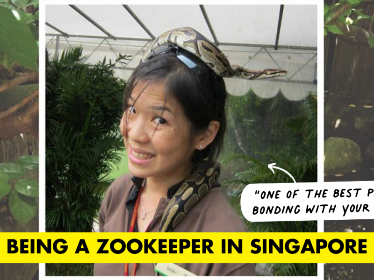 Zookeeper In Singapore