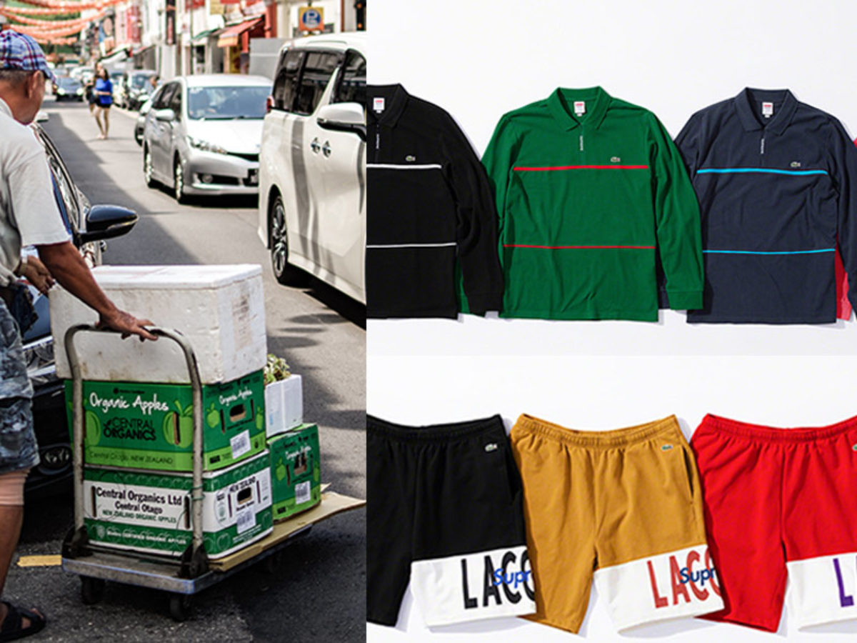 lacoste dress shorts