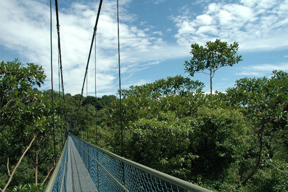 free-first-date-treetop