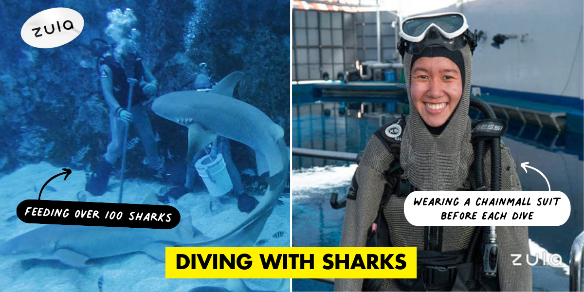 This 29-Year-Old Isn’t Afraid To Dive With 100 Sharks While On Her Period