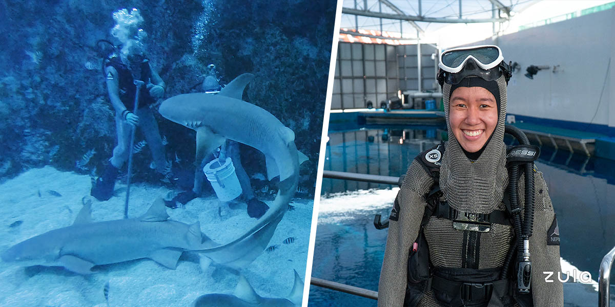 This 25 Year Old Isn T Afraid To Dive With 100 Sharks