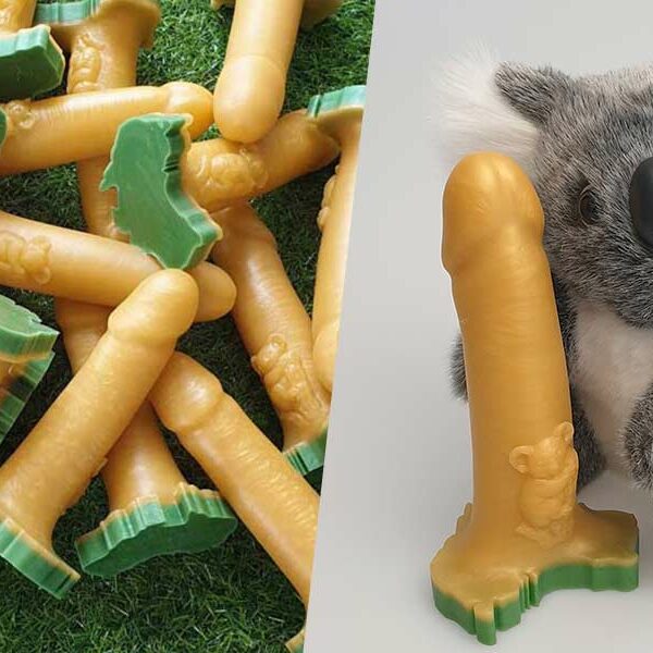 Koala-Themed Dildo Raising Funds For Bushfire Relief Efforts Lets You Do  Your Part For Australia Too - ZULA.sg