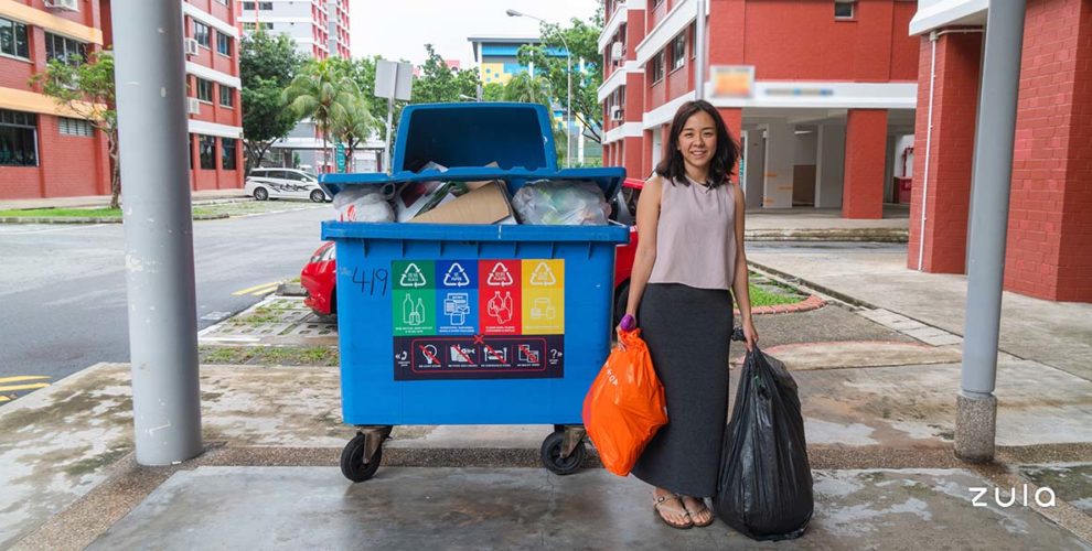 sustainable-singapore-6