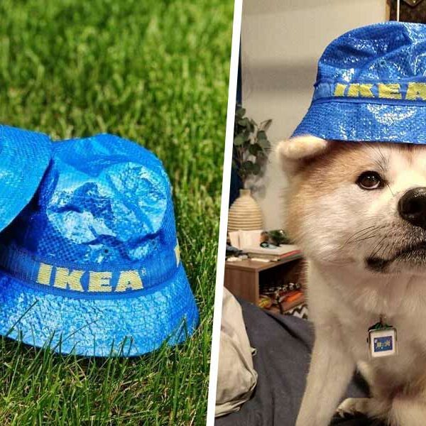 IKEA s Viral Bucket Hat Is Now Actual Official Merchandise To Help You Nail The Hypebeast Look For US 3.99 ZULA