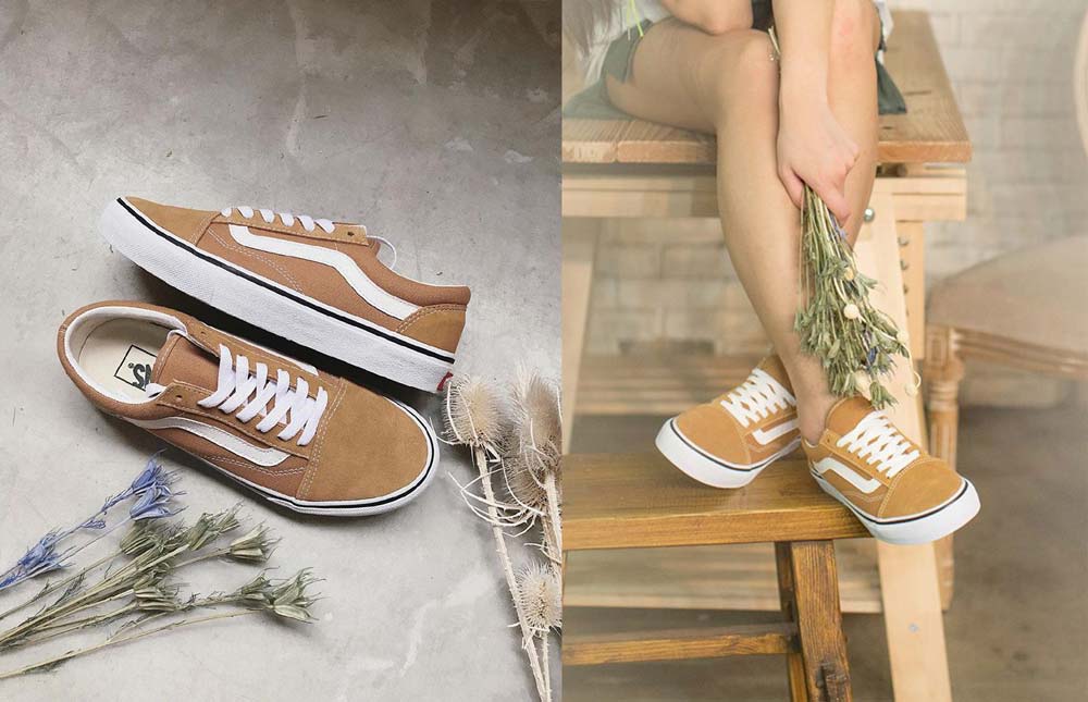 tea collection vans