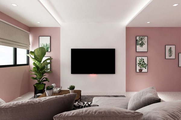 pink hdb flat (3)