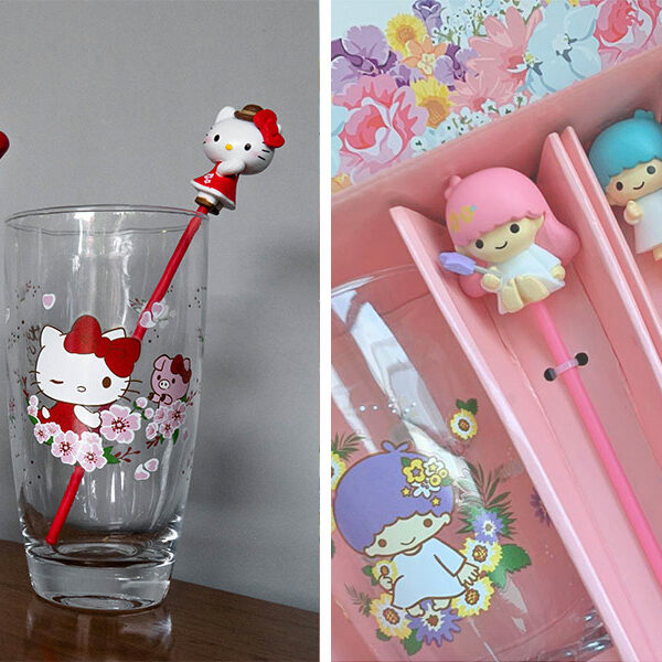 sanrio-glasses-cover-collage-