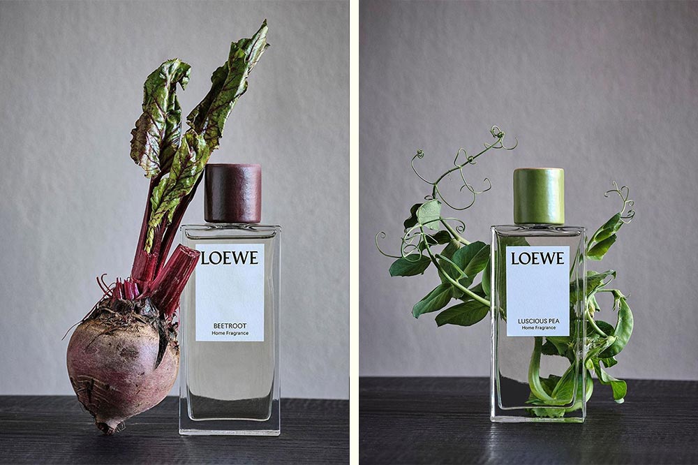 Loewe coriander perfume new arrivals