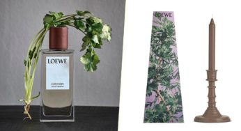 Loewe’s New Coriander Perfume & Candles Are A Dream Come True For Coriander Lovers