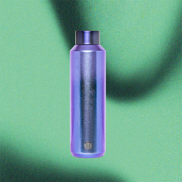 starbucks holiday 2020 purple water bottle