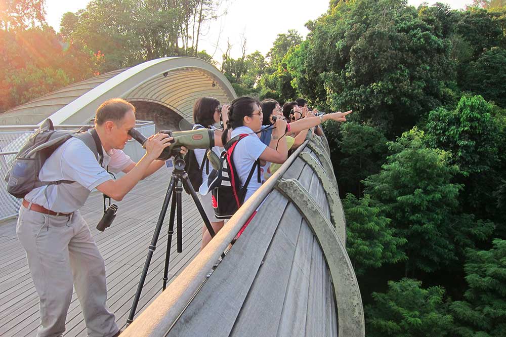 me-time-ideas-singapore-birdwatching