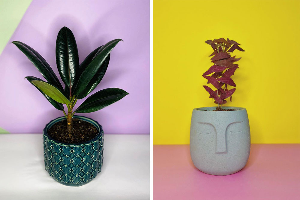 9 Instagram Home Decor Shops In Singapore To Give Your Home Artistic, Minimalist Or Resort Vibes