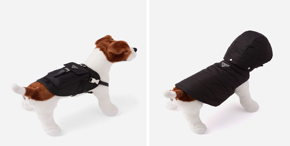 Prada's Dog Raincoat & Jackets Let You Turn The Park Connector Into
