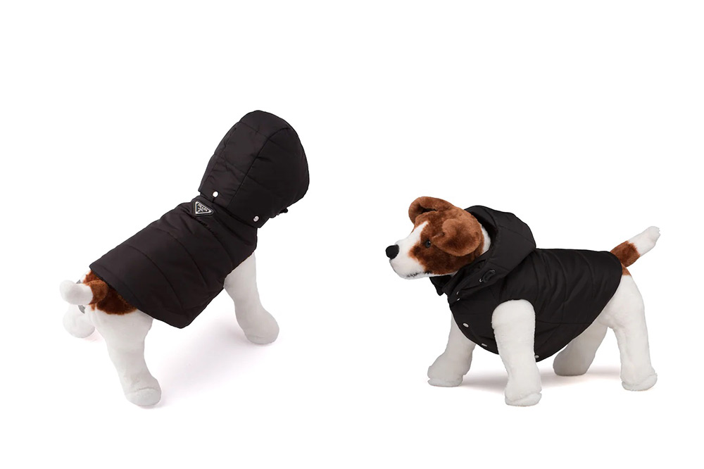 Prada's Dog Raincoat & Jackets Let You Turn The Park Connector Into Your  Personal Catwalk 