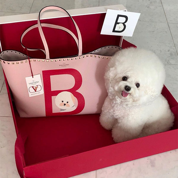 valentino bichon bag 