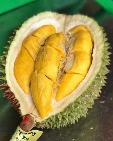 durian