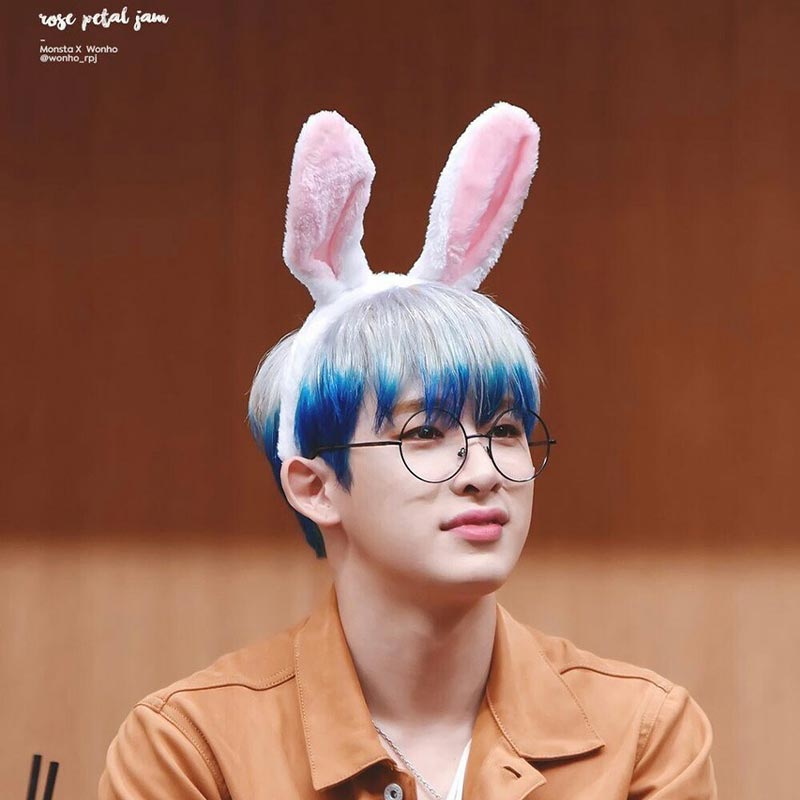 Wonho Facts Bunny