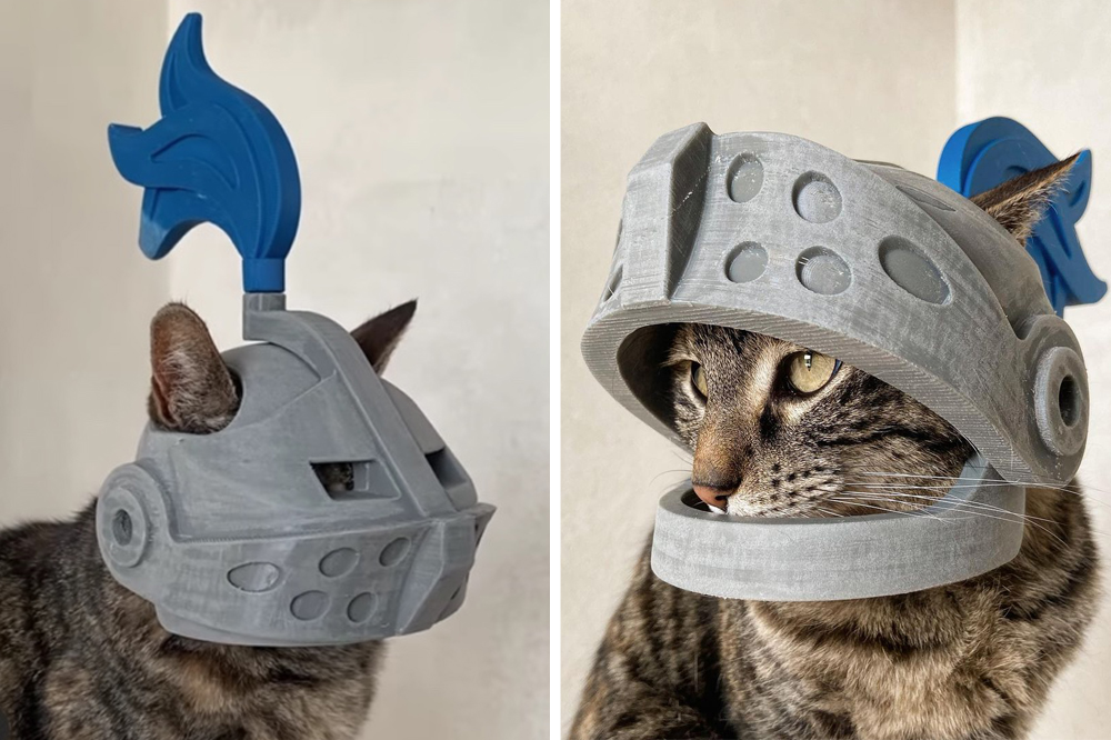 Cat best sale with helmet