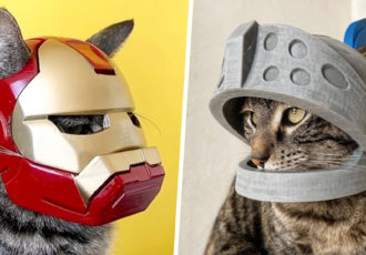 Cat Helmets