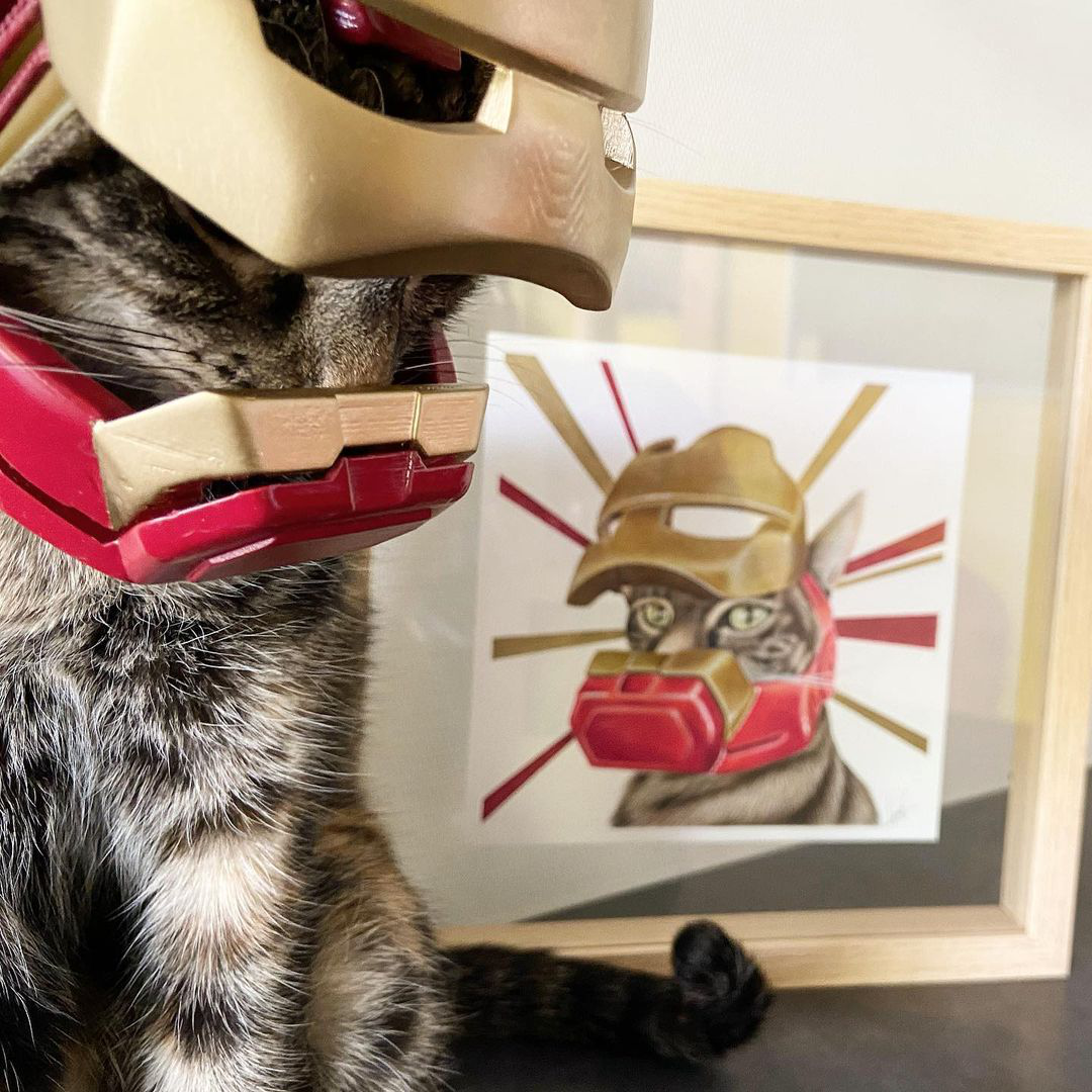 Cat Helmets