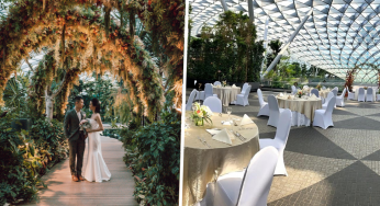 You Can Now Hold Your Wedding At Jewel Changi Airport With A Waterfall Backdrop & Outdoor Garden Setting