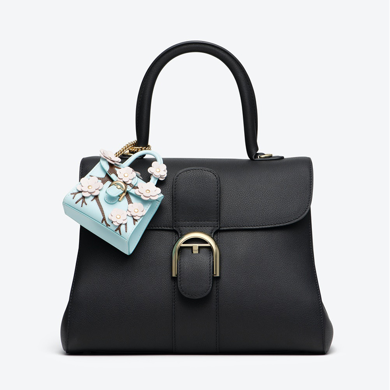 Delvaux charm best sale