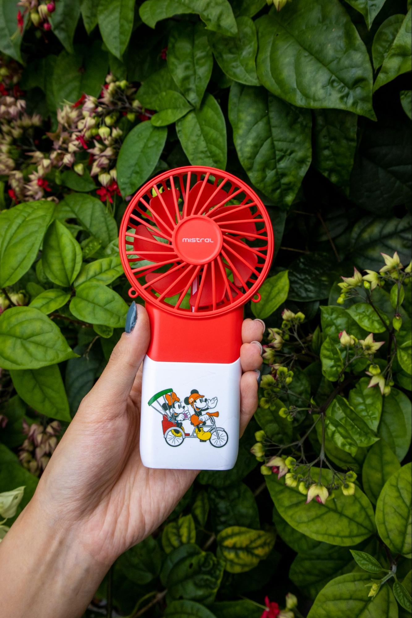 Disney x Mayer Singapore Collection