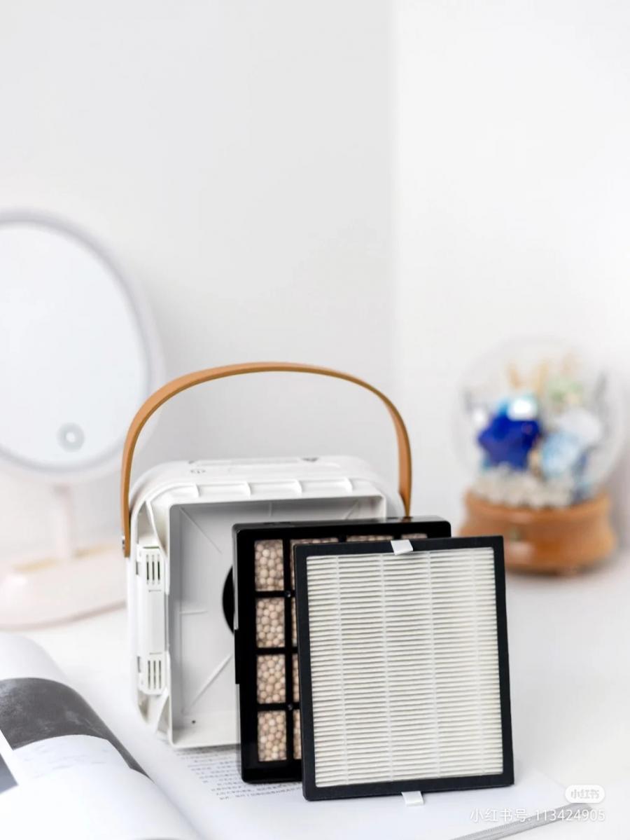 Portable Air Purifier