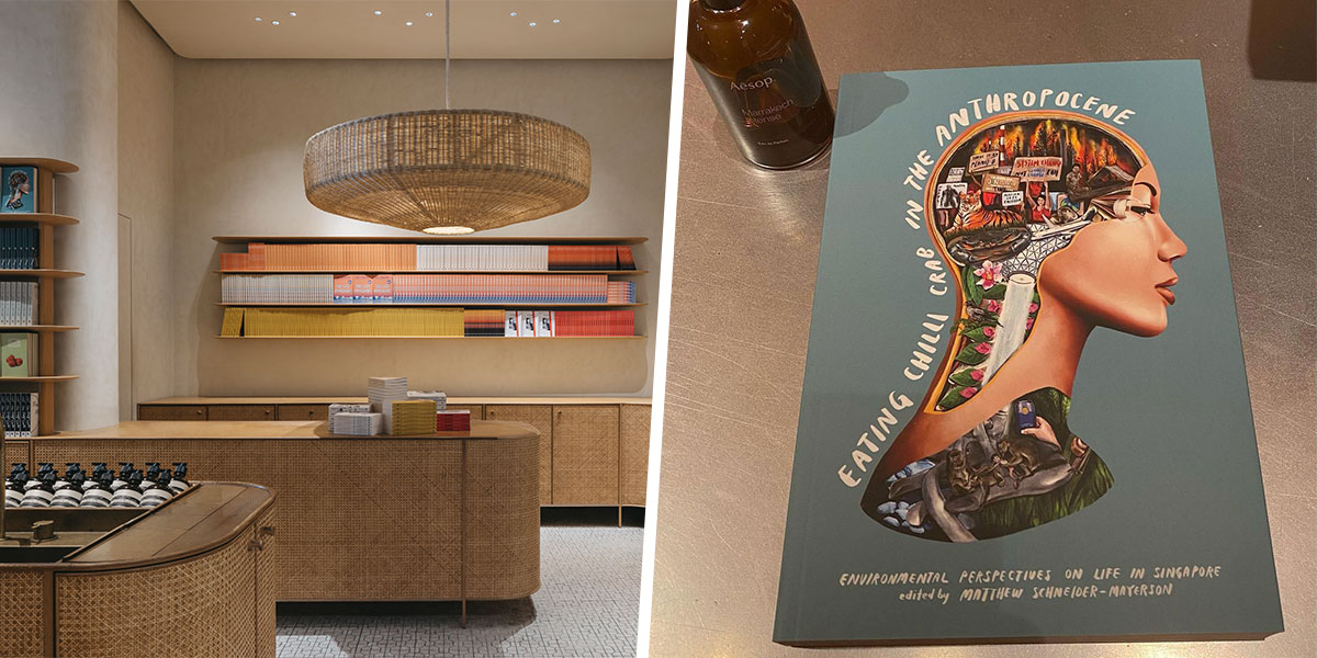 Aesop Women’s Library