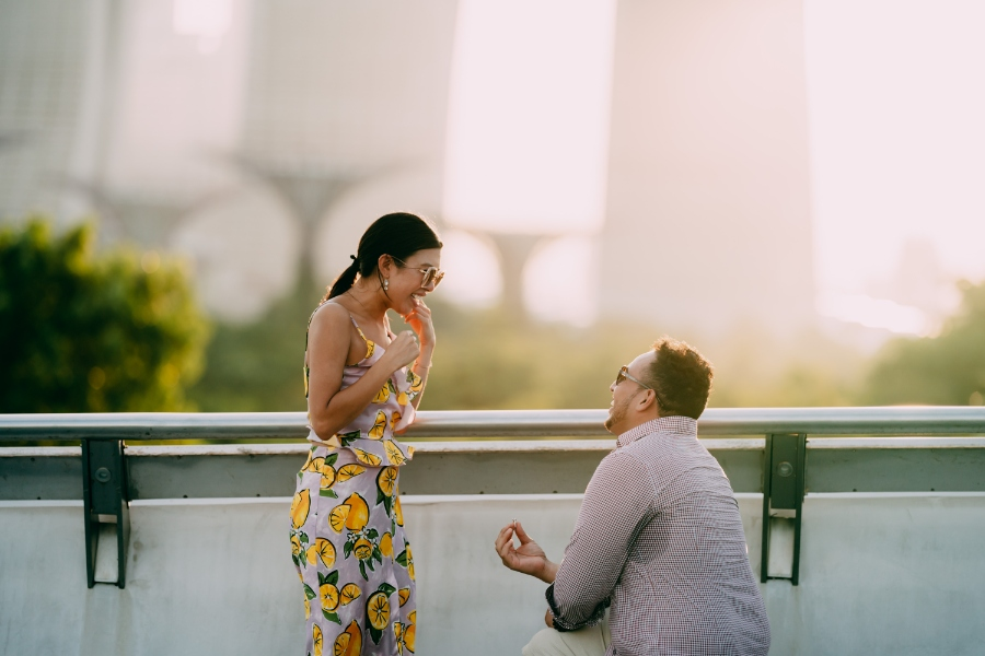 Romantic Places In Singapore To Propose
