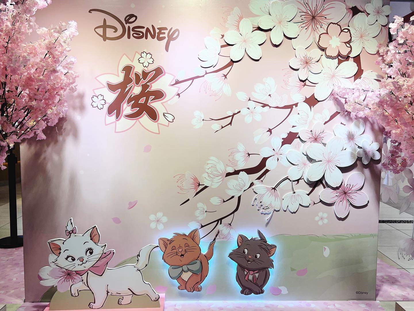 Sakura-Themed Disney Pop-Up