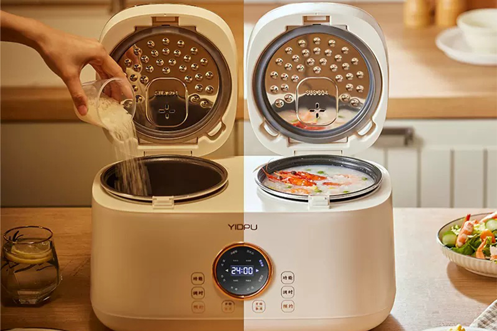 Multi-Purpose Dual Cooker