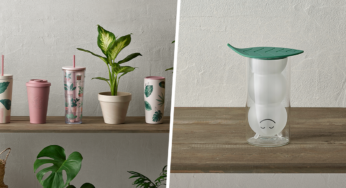Starbucks New Plant Parenting Collection Has Bottles, Tumblers & Mugs, Perfect For Those With Green Thumbs