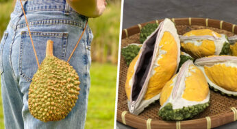 These Realistic Durian Cross Body Bags & Pouches Will Clear The Crowd During Peak Hours For You