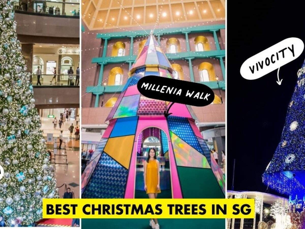 Orchard Road Christmas Light-Up Is Back From 12 November 2022 With Special  Promotions, AR Features
