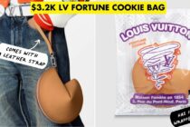 louis vuitton fortune cookie bag cover image