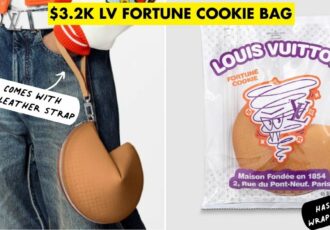 louis vuitton fortune cookie bag cover image