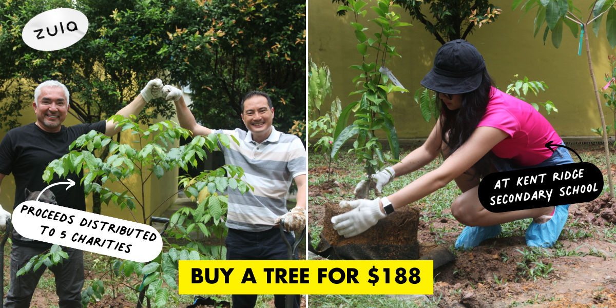 You Can Now Buy A Tree For $188, With Proceeds Going To Charities & Animal Shelters