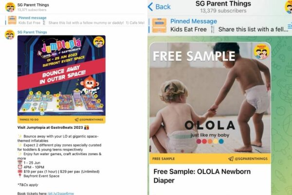 14 Telegram Channels for Women — Freebies & Travel Deals
