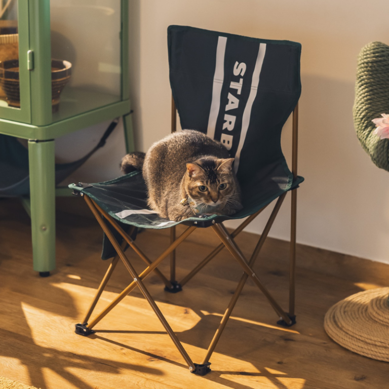 Starbucks Foldable Chairs Are Now Available
