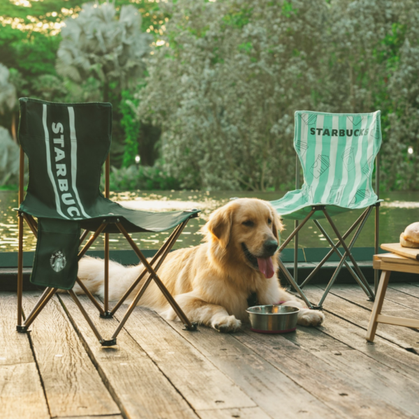 Starbucks Foldable Chairs Are Now Available